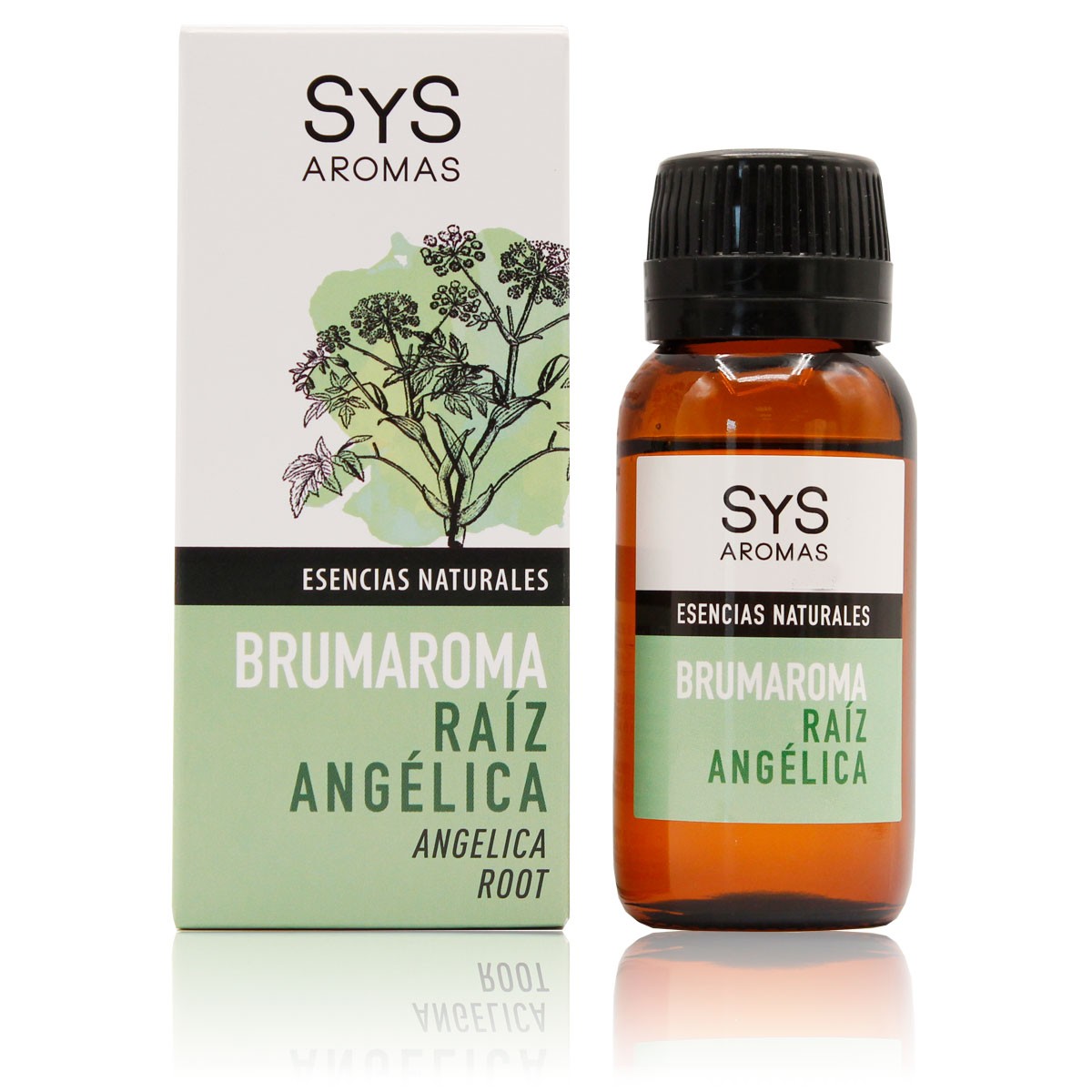 Esencia Brumaroma SyS