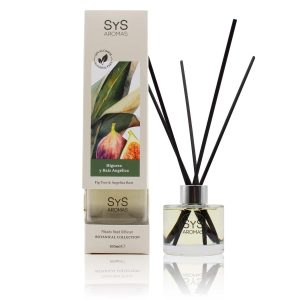 AMBIENT. MIKADO SYS BOTANICAL 100 ml HIGUERA Y RAÍZ ANGÉLICA